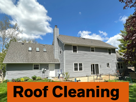 Roof cleaning