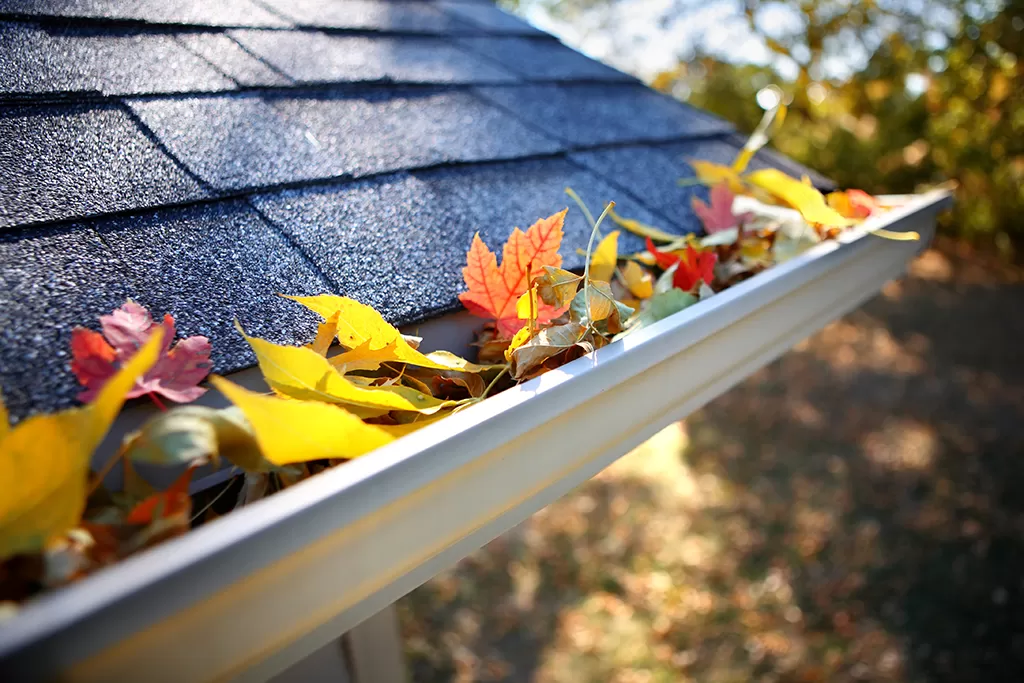 Hidden Dangers Of Neglecting Gutter Cleaning