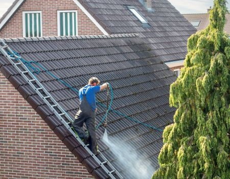 roof soft washing