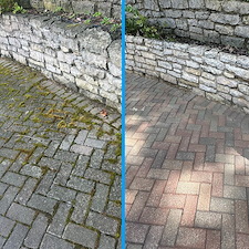 Why Are My Pavers Turning Green?