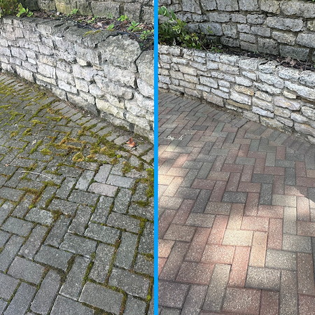 Why are my pavers turning green