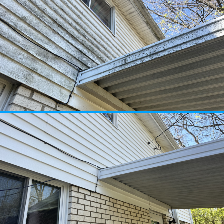 Why is my house turning green house washing solutions for dayton oh homeowners