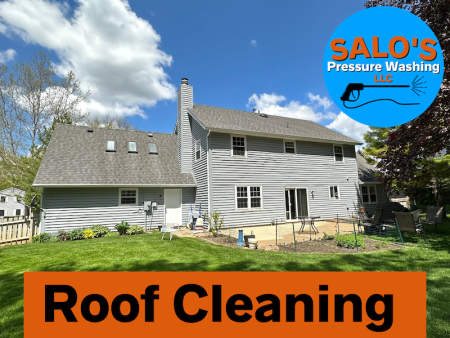 Roof cleaning salos